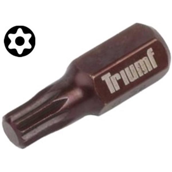 Triumf 100-02831 - BIT 3/8" (10mm) TORX T45 x 30mm, s bezpečnostním otvorem